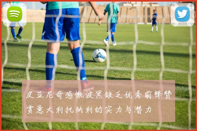 皮亚尼奇感慨波黑缺乏优秀前锋赞赏意大利托纳利的实力与潜力